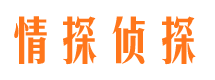 武汉出轨调查